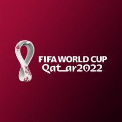 How to build your Qatar World Cup 2022 application
