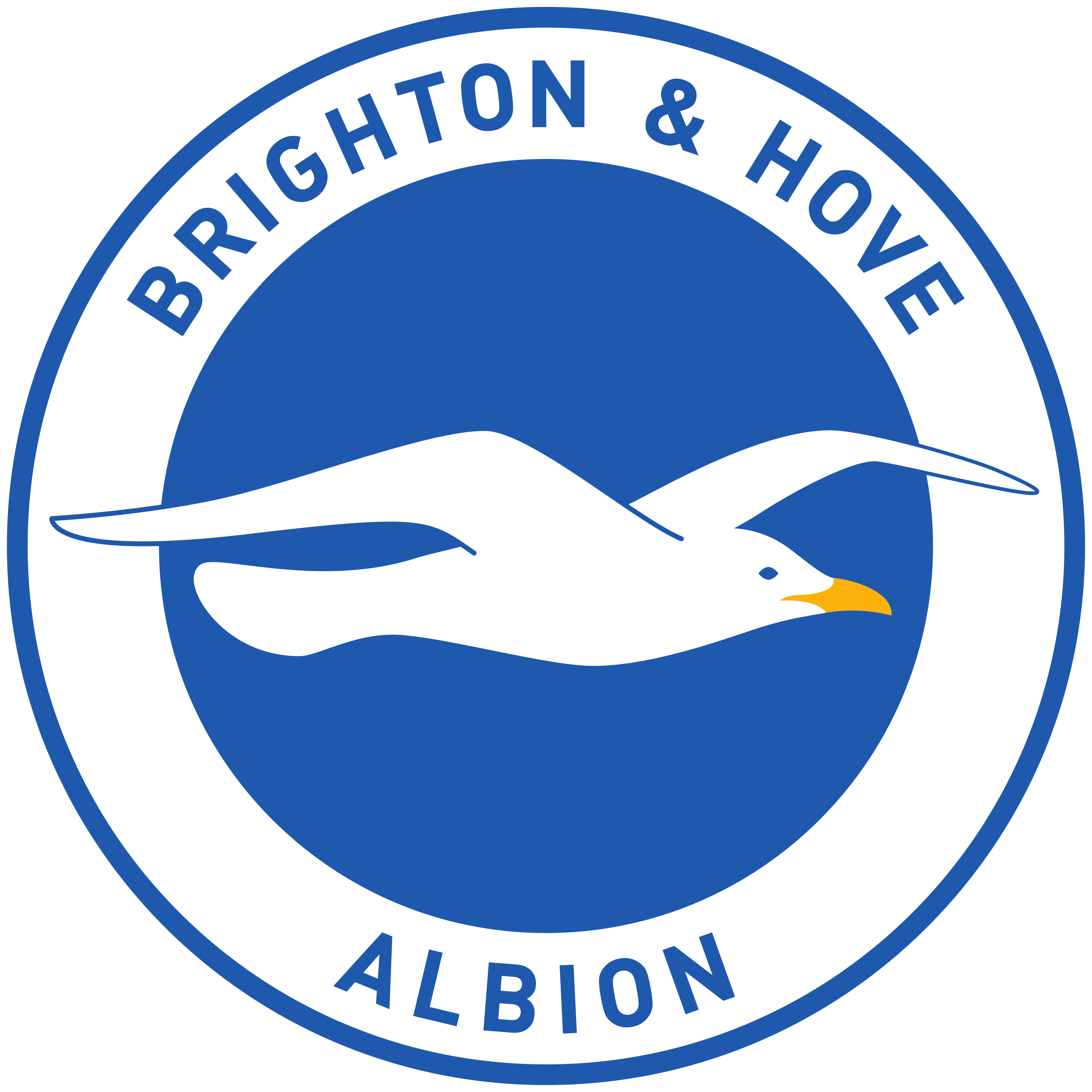 brighton-hove-albion-logo
