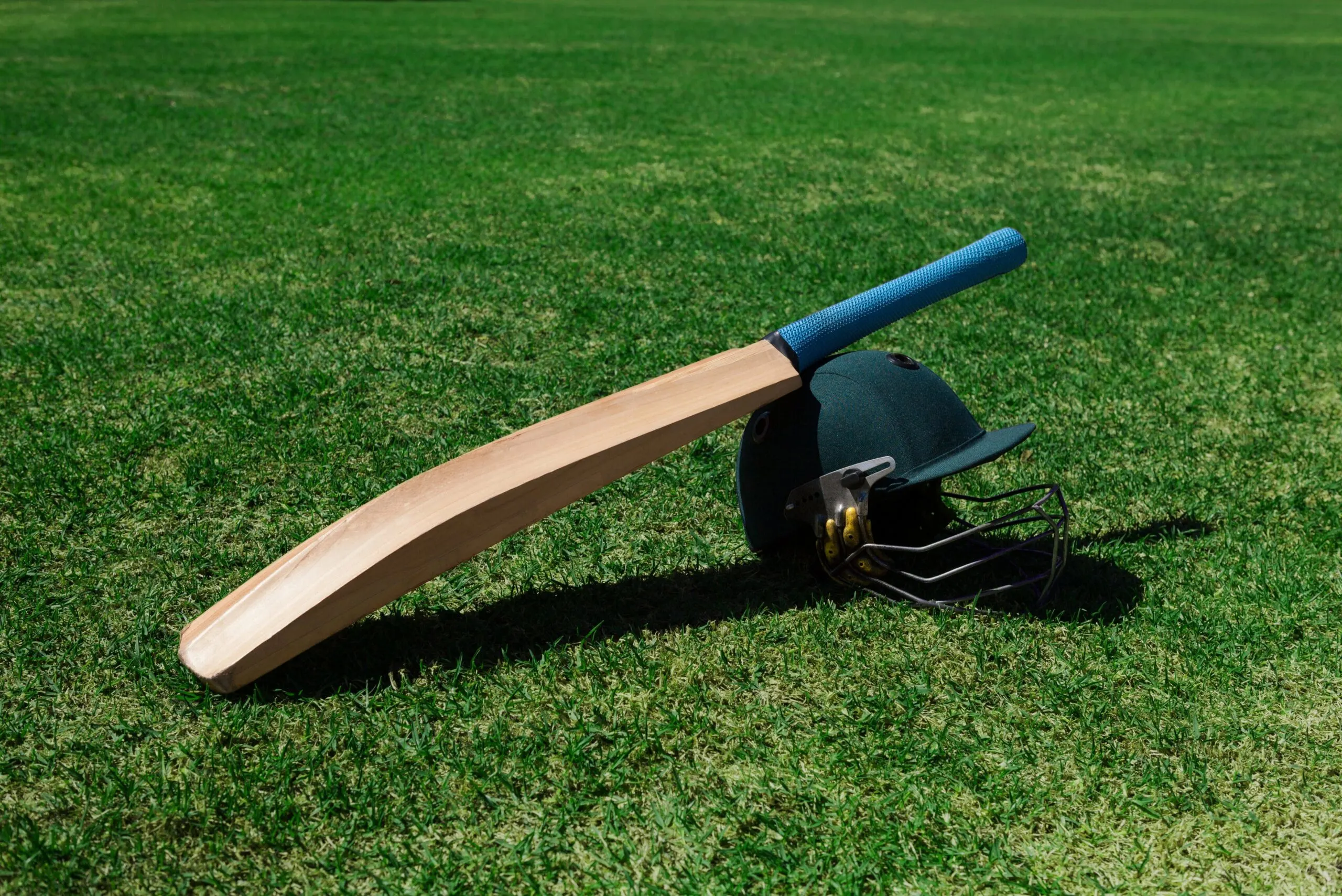 Sports data solution: via a Cricket API